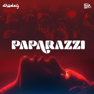Paparazzi